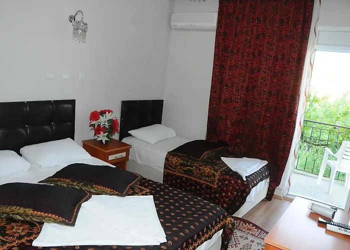 ドルト メヴシム