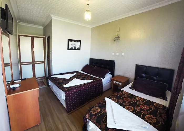 ドルト メヴシム 3*