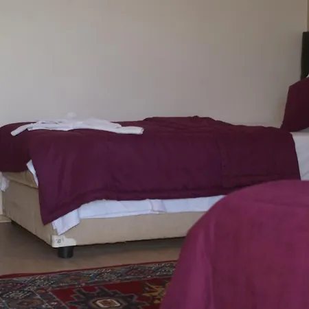 Dort Mevsim